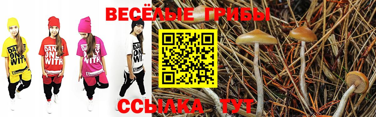 Галлюциногенные грибы MAGIC MUSHROOMS  Галлюциногенные грибы мухоморы  Вход с VPN  наркошоп  Асбест 