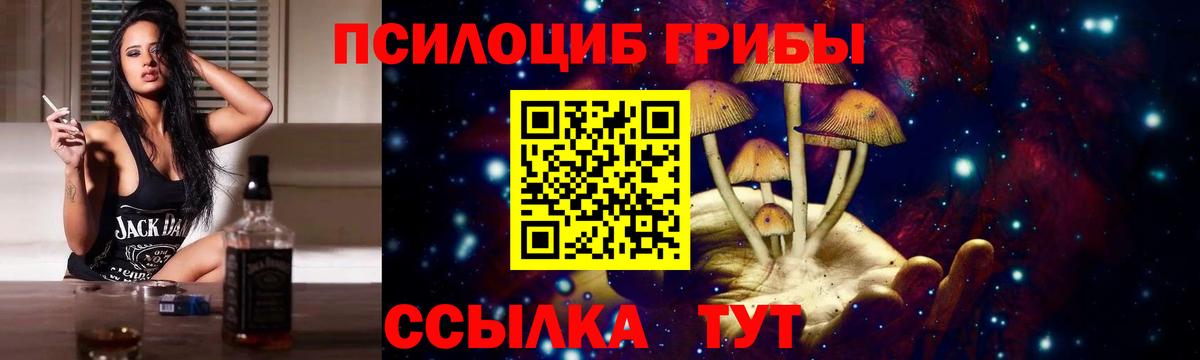 Псилоцибиновые грибы Psilocybine cubensis Асбест